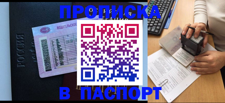 пропишу в квартире в Бородино